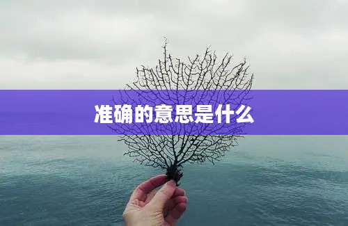 准确的意思是什么