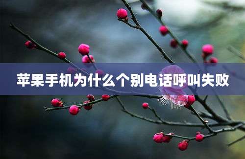 苹果手机为什么个别电话呼叫失败