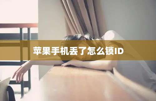 苹果手机丢了怎么锁ID