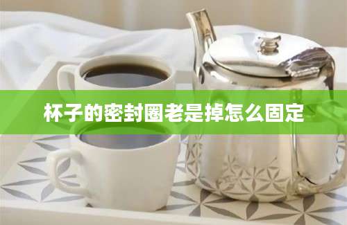 杯子的密封圈老是掉怎么固定