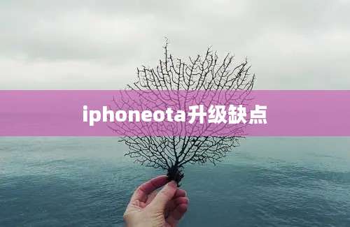 iphoneota升级缺点