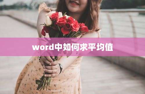 word中如何求平均值