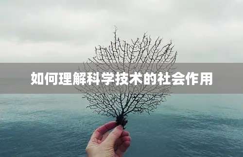 如何理解科学技术的社会作用