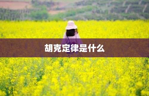 胡克定律是什么