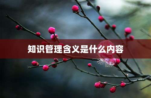 知识管理含义是什么内容