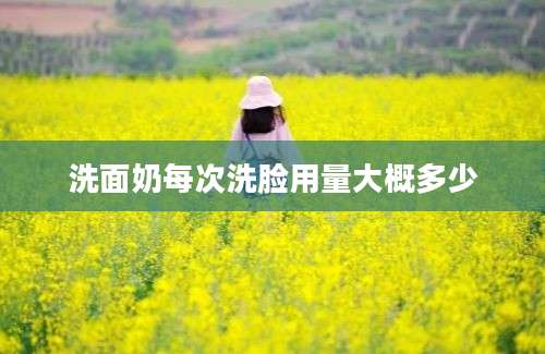 洗面奶每次洗脸用量大概多少