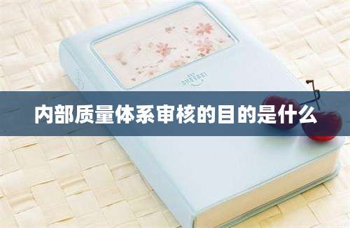 内部质量体系审核的目的是什么