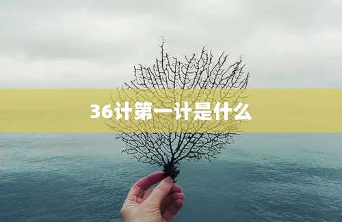 36计第一计是什么