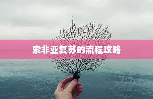 索非亚复苏的流程攻略