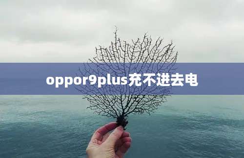 oppor9plus充不进去电