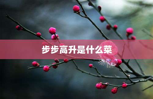 步步高升是什么菜