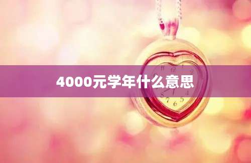 4000元学年什么意思