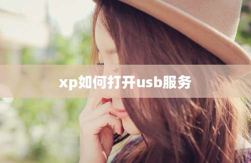 xp如何打开usb服务