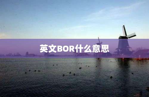 英文BOR什么意思