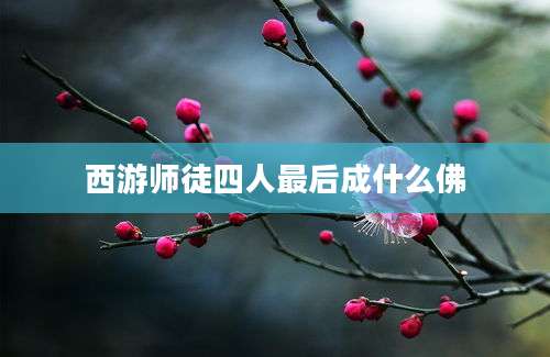 西游师徒四人最后成什么佛