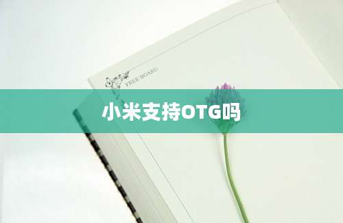 小米支持OTG吗