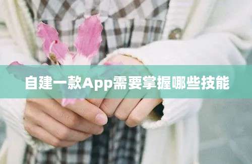 自建一款App需要掌握哪些技能