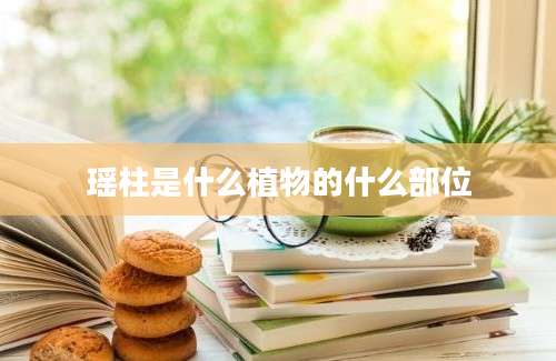 瑶柱是什么植物的什么部位