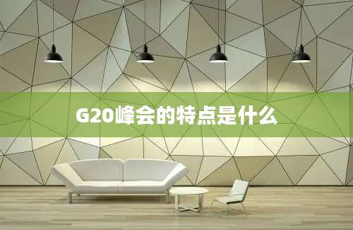 G20峰会的特点是什么