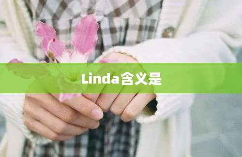 Linda含义是