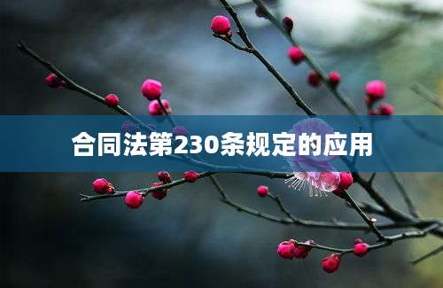 合同法第230条规定的应用