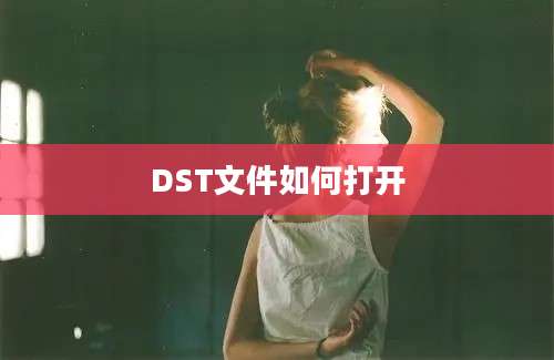 DST文件如何打开