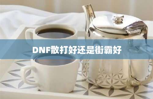 DNF散打好还是街霸好