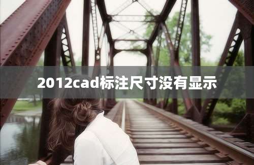 2012cad标注尺寸没有显示