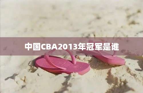 中国CBA2013年冠军是谁