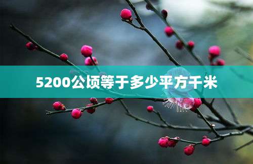 5200公顷等于多少平方千米