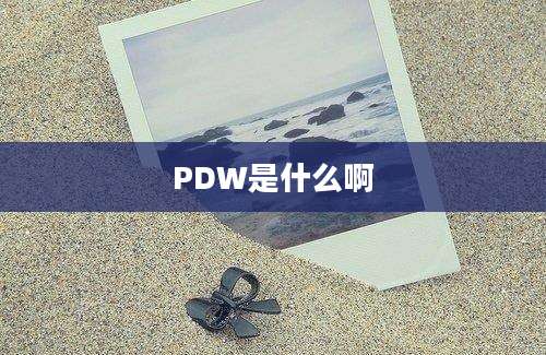 PDW是什么啊