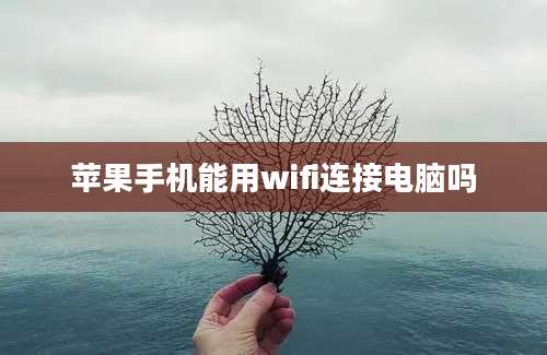 苹果手机能用wifi连接电脑吗