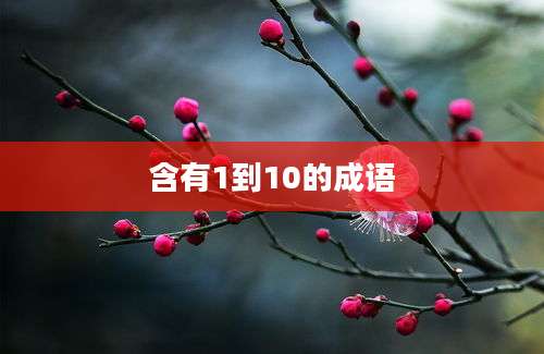 含有1到10的成语