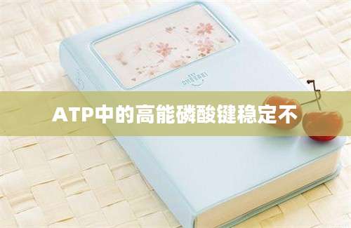 ATP中的高能磷酸键稳定不