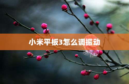 小米平板3怎么调振动