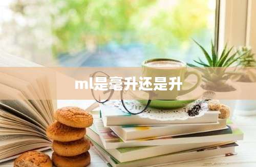 ml是毫升还是升