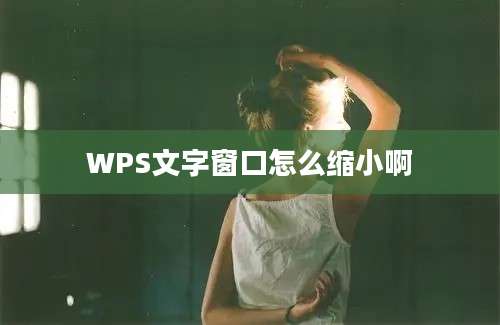 WPS文字窗口怎么缩小啊