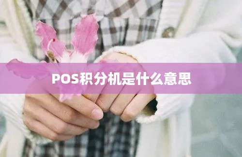 POS积分机是什么意思