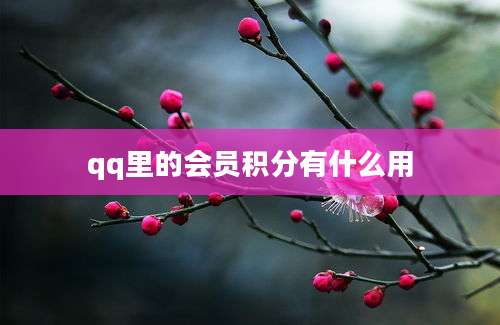 qq里的会员积分有什么用