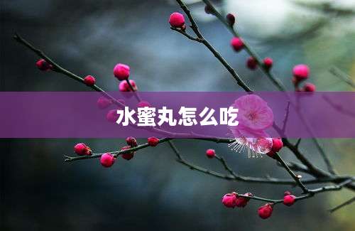 水蜜丸怎么吃