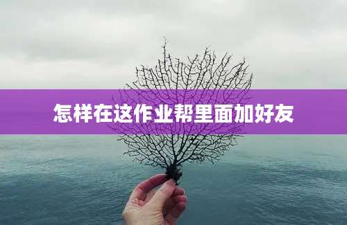 怎样在这作业帮里面加好友