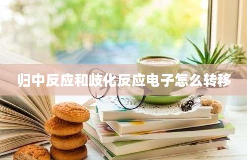 归中反应和歧化反应电子怎么转移