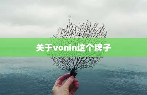 关于vonin这个牌子