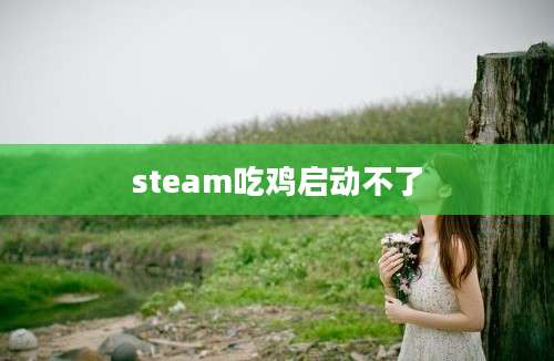 steam吃鸡启动不了