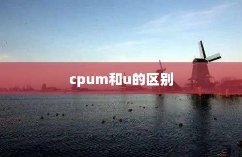 cpum和u的区别