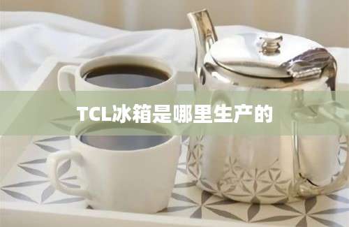 TCL冰箱是哪里生产的