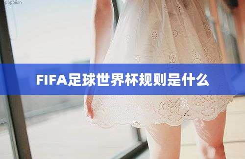 FIFA足球世界杯规则是什么