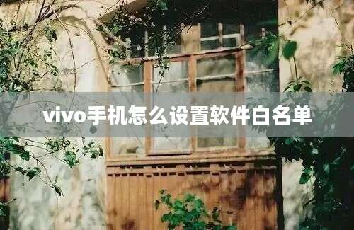 vivo手机怎么设置软件白名单