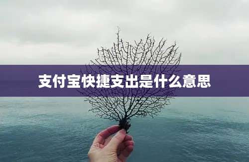 支付宝快捷支出是什么意思