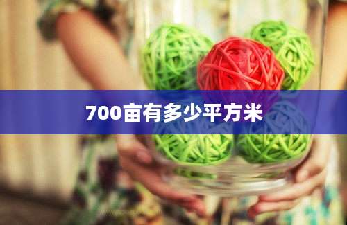 700亩有多少平方米